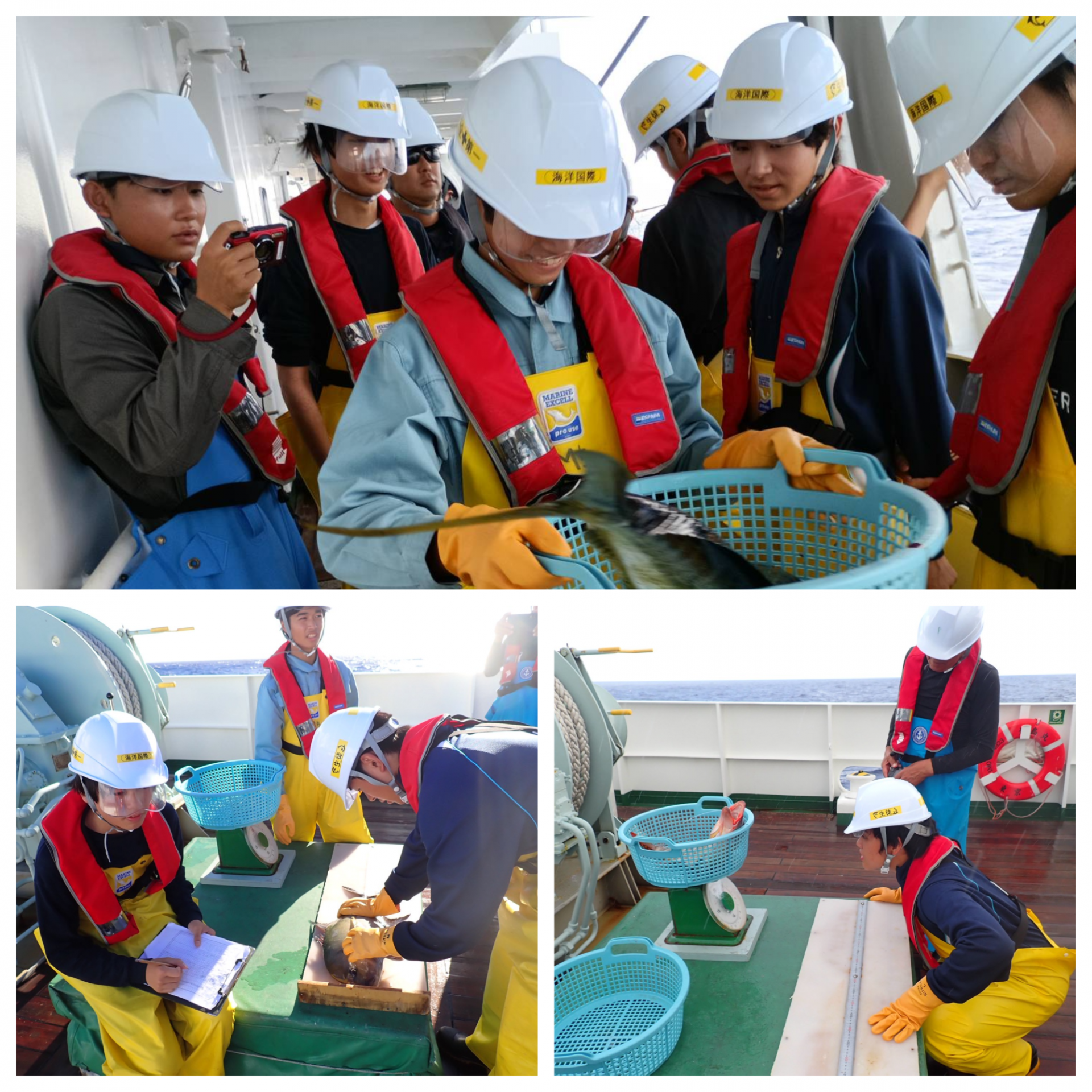 Blank 3 Grids Collage - 2025-10-27T133810.439